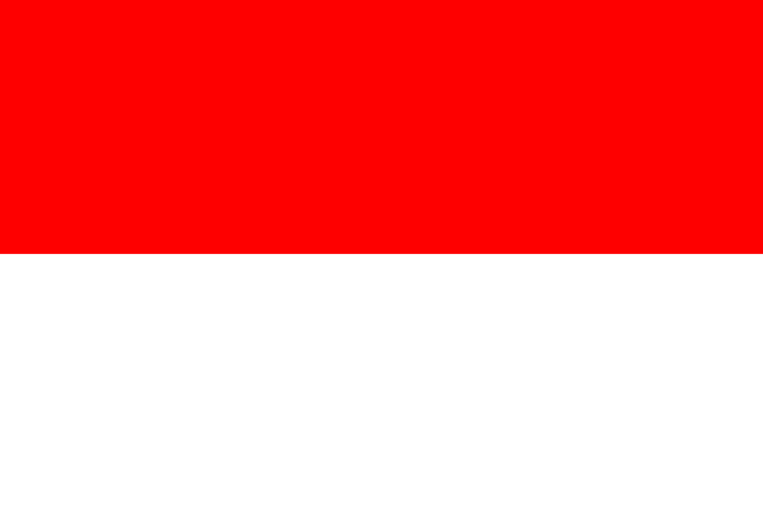 Flag of indonesia.svg
